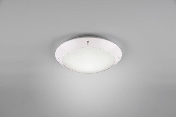 R60501031 CAMARO Lampa - Mega RABATY W KOSZYKU %