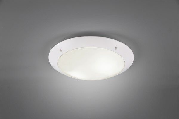 R60502031 CAMARO Lampa - Mega RABATY W KOSZYKU %